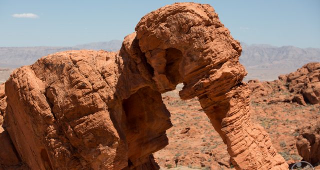 Tag 23 - Valley of Fire-Las Vegas
